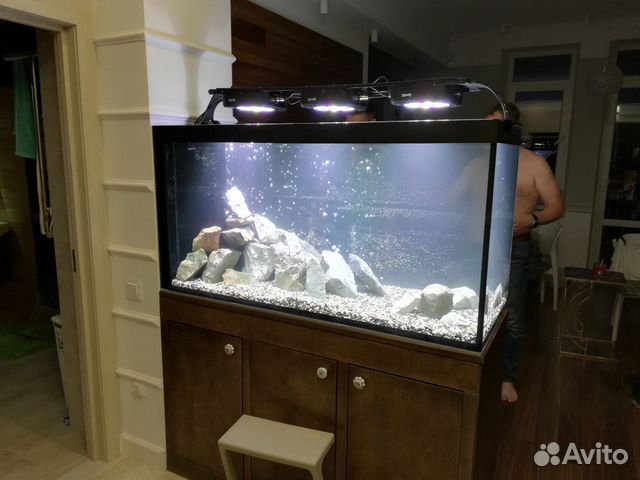 Аквариум Аквариум