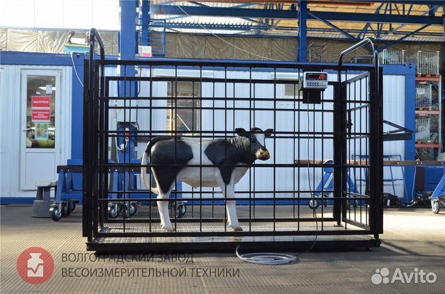 Весы для животных Эльтон Скотские Весы для животных Эльтон Скотские