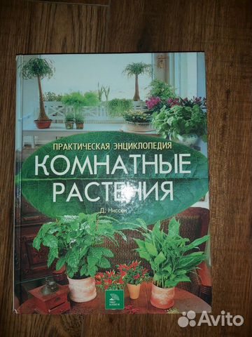 Комнотные растерия Комнотные растерия