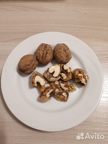 Орех грецкий Орех грецкий