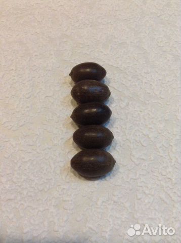 Семена лотоса Семена лотоса