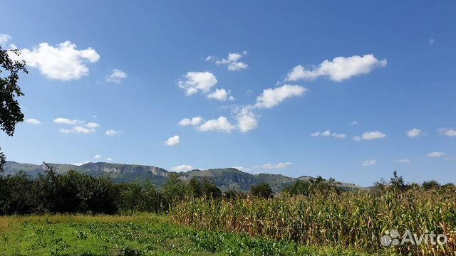 С андрюки достопримечательности. Андрюки краснодарский край. Поселок андрюки. Станица андрюки краснодарский край. Ст андрюки мостовского района.