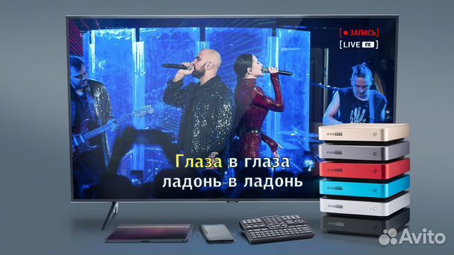 Караоке Evolution EvoBox рубин + планшет в подарок Караоке Evolution EvoBox рубин + планшет в подарок