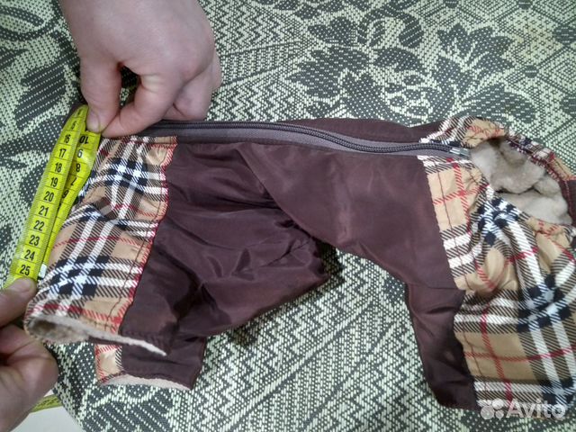 Костюм для собаки