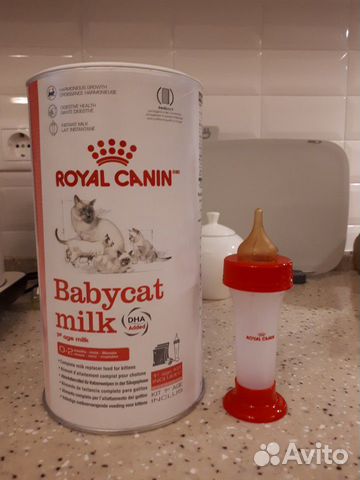 Заменитель кошачьего молока, Royal Canin купить на Зозу.ру - фотография № 1