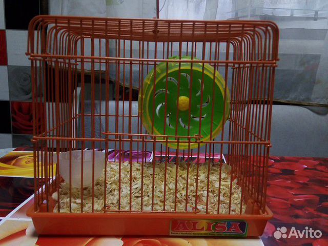 Клетка для хомячка, клетка для попугая купить на Зозу.ру - фотография № 1