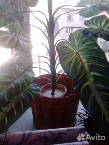 Искусственные цветы