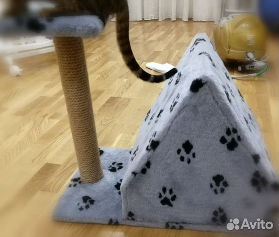 Когтеточка с домиком