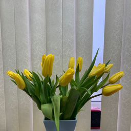 Пользователь