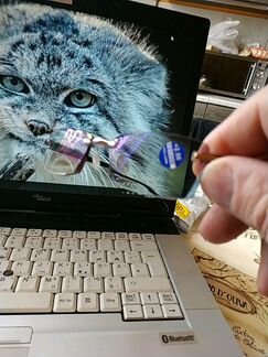 Очки для чтения