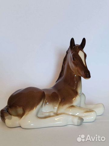 Жеребенок лежащий