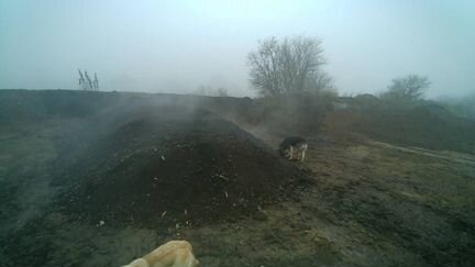 Навоз конский, коровий 5-10т