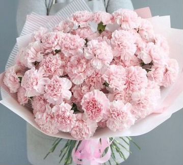 Гвоздики (диантус) доставка по спб 13шт., 25шт.,51