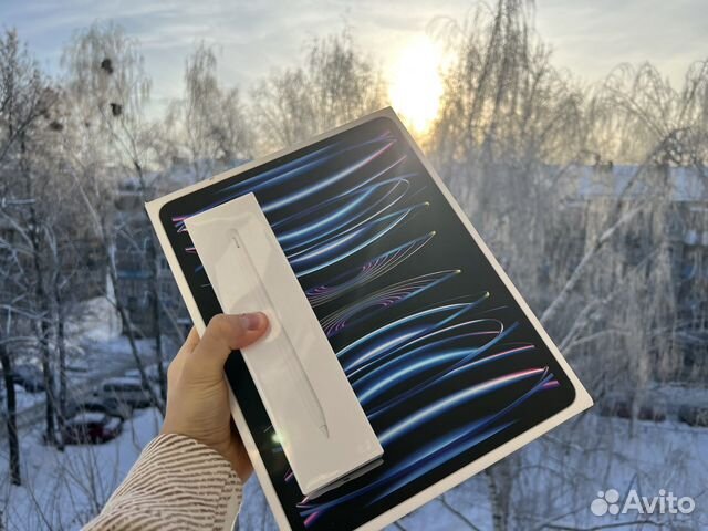 iPad pro 12.9 m2 256g silver + sim