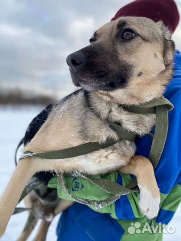 С рождения борится за жизнь