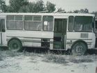 Городской автобус ПАЗ 4234, 2006
