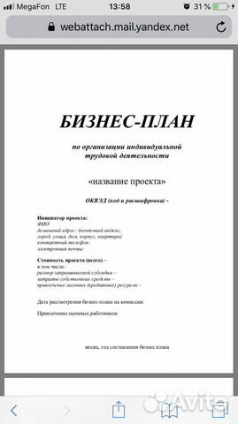 Бизнес-план и смета расходов для соцзащиты