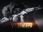 Escape from Tarkov (Edge of Darkness) максимальная