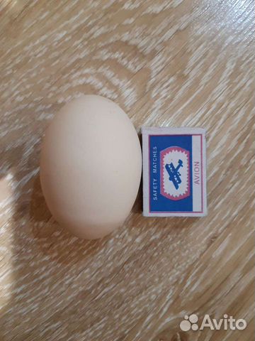 Яйцо деревенское оптом