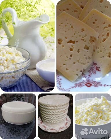 Молоко козье,сыр,творог