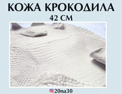 Кожа крокодила краст 42 см в наличии