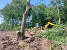 Расчистка участка Спил деревьев Выкорчевка Уборка объявление продам
