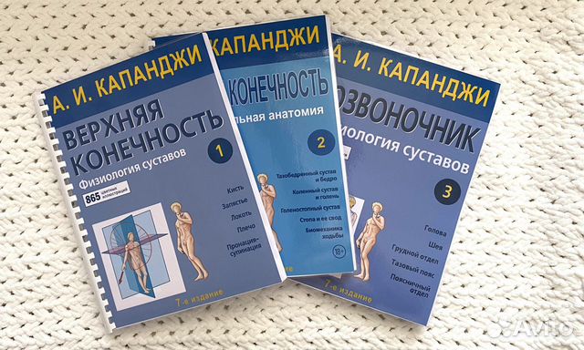 Функциональная анатомия Физиология суставов (3шт)