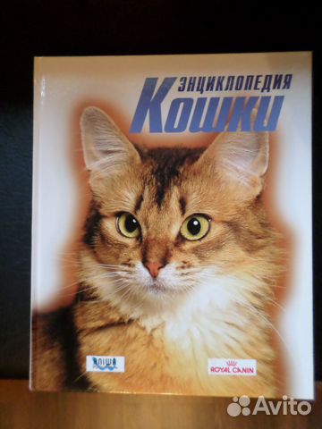 Энциклопедия кошки