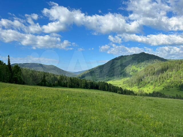 Участок 6,82 га (СНТ, ДНП)