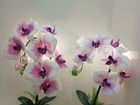 Орхидея -ночник светильник объявление продам