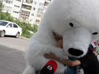 Поздравления от Белого Медведя, Пригласи Мишку объявление продам