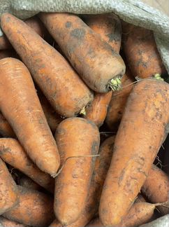 Морковь картофель капуста доставка бесплатно - фотография № 2