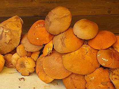 Маринованые грибы