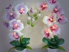 Орхидея -ночник светильник объявление продам
