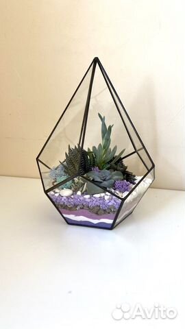 Флорариум за которым легко ухаживать