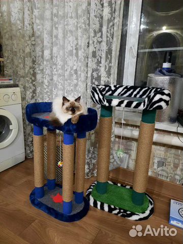 Когтеточка, домик, лежанка для Вашей любимицы
