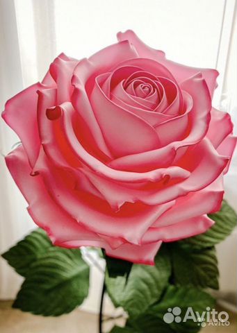 Роза большая ростовая