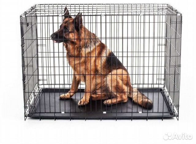 Вольер клетка для собак и кошек в аренду
