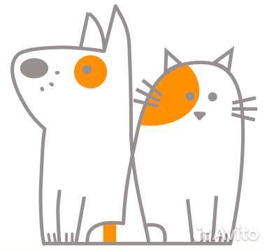 Стрижка кошек и собак, тримминг, экспресс-линька