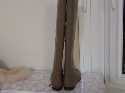 Ботфорты р 38 Elche