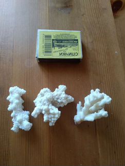 Кораллы морские