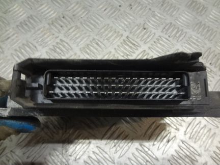 Эбу газель соболь 405