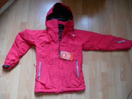 Зимняя спортивная куртка THE north face