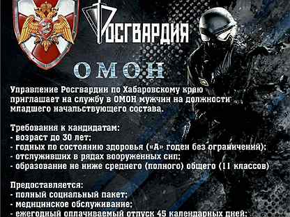 Омон в школе. Омон график работы. Нормативы омон. Омон в городе. Должности в омоне.
