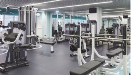 Премиальная Клубная карта WTS Fitness