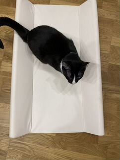 Пеленальная доска без кота