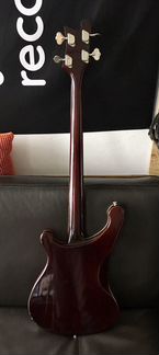 Jolana D-bass