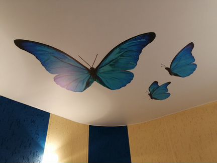 Натяжные потолки