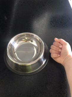 Миска для собаки (новая)