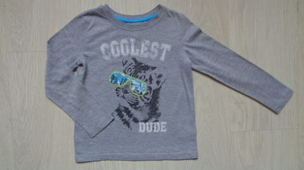 Лонгсливы 104-110 4шт